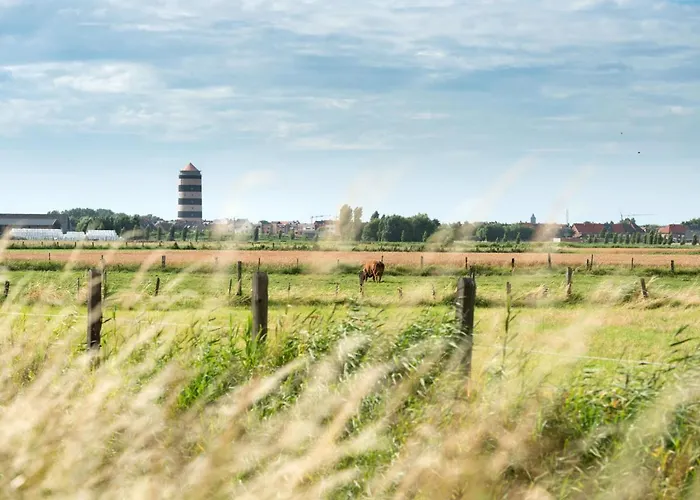 Daire Cannes 208 With Balcony By Interhome