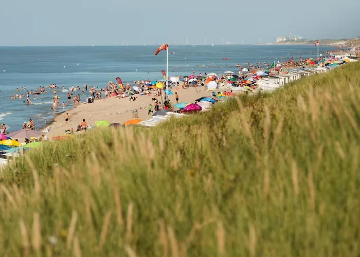 Cannes 208 With Balcony By Interhome Daire